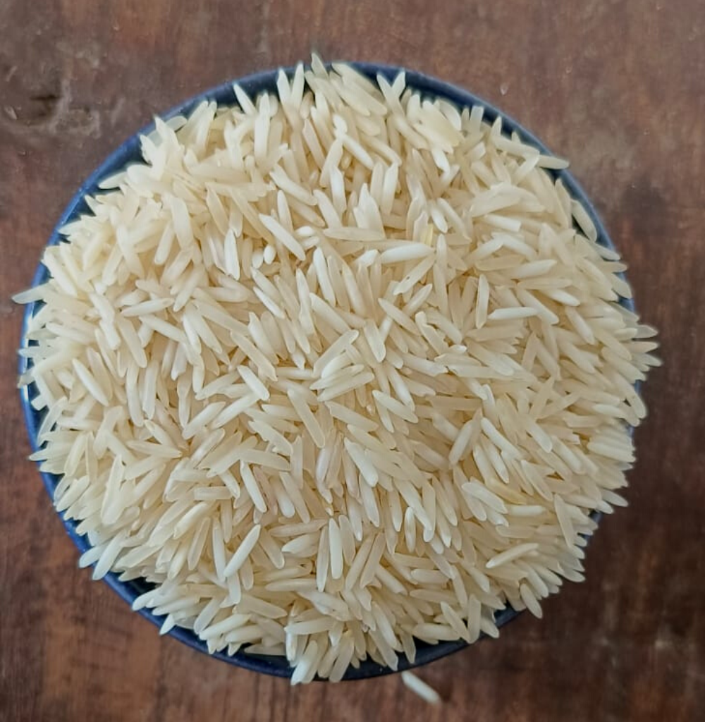 Rice
