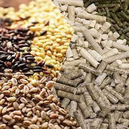 All Animal Feed